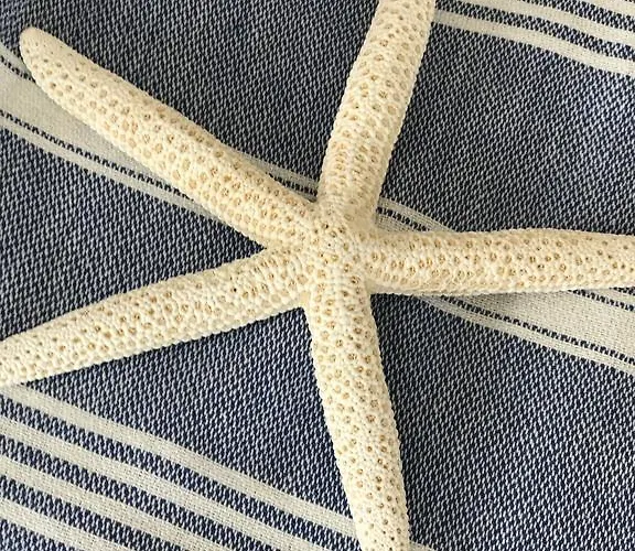 Elea - Amazing Sea View Herszonisszosz