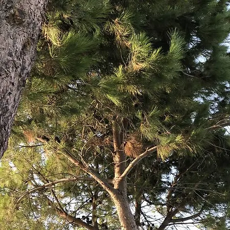 Elea - Amazing Sea View *