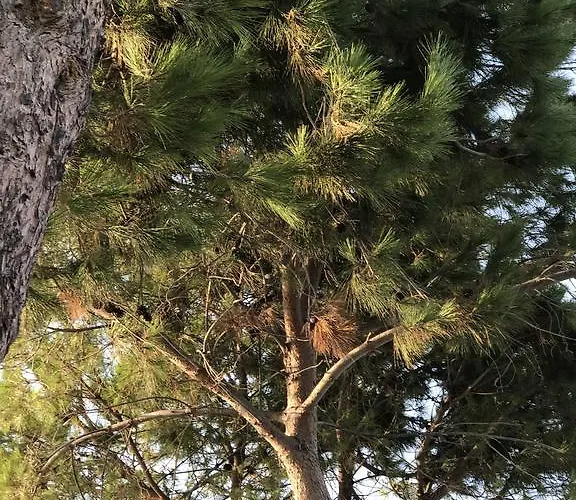 Elea - Amazing Sea View *