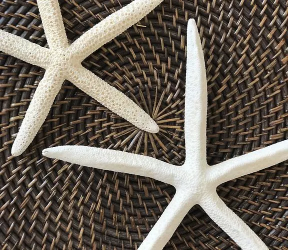 Apartmán Elea - Amazing Sea View Hersonissos (Crete)